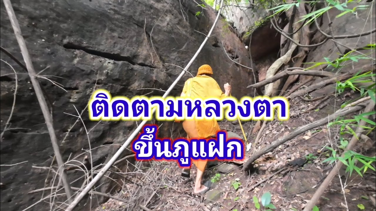 ติดตามหลวงตา​ ขึ้นภูแฝก​ จ.กาฬสินธ์