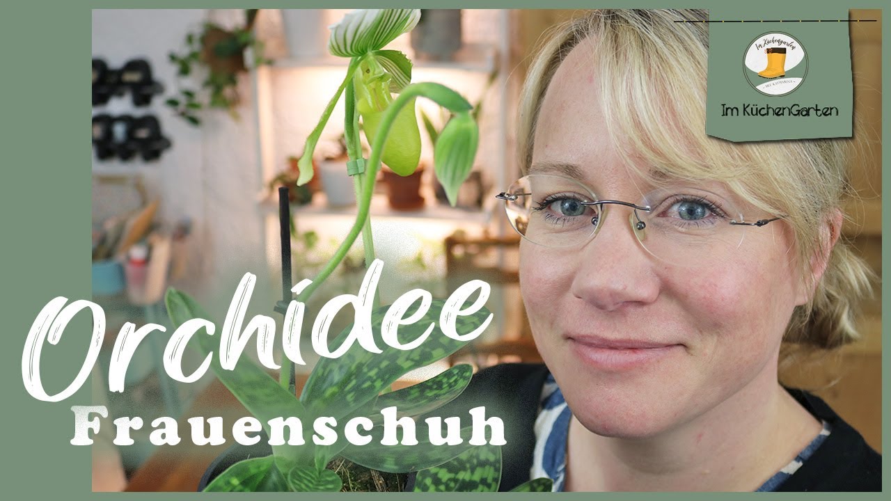 Alles über die Venusschuh Orchidee - Paphiopedilum