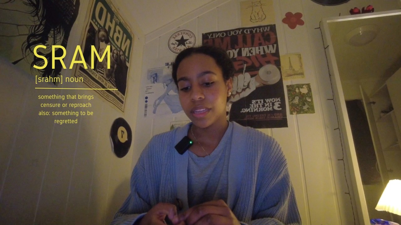 the best skam remake yet? (SRAM review)