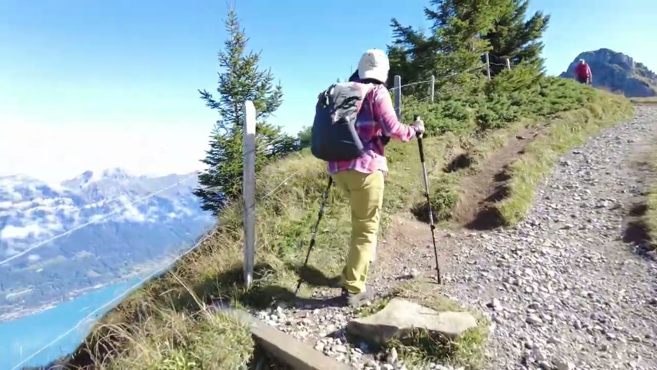 スイス絶景ハイキング！🇨🇭シーニゲプラッテ