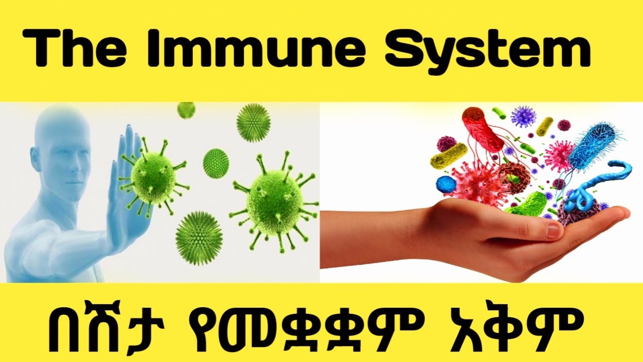 The #Immune System. Grade 9 Biology Lesson Unit 4. (የ9ኛ ክፍል ባዮሎጂ ትምህርት ምዕራፍ 4።) #EthiopianEducation.