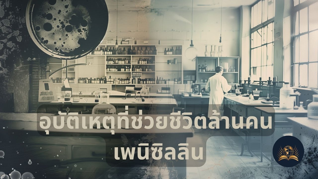 อุบัติเหตุที่ช่วยชีวิต 200 ล้านคน | ความลับเบื้องหลังการค้นพบเพนิซิลลิน | นักวิทยาศาสตร์เปลี่ยนโลก