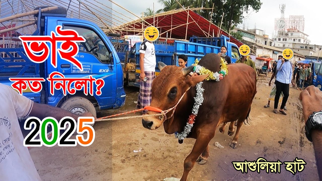 Bhai Koto Nilo 2025 | Ashulia Gorur Haat | Qurbani Cow Price 2025 | Cattle Market Update | AN Agro |