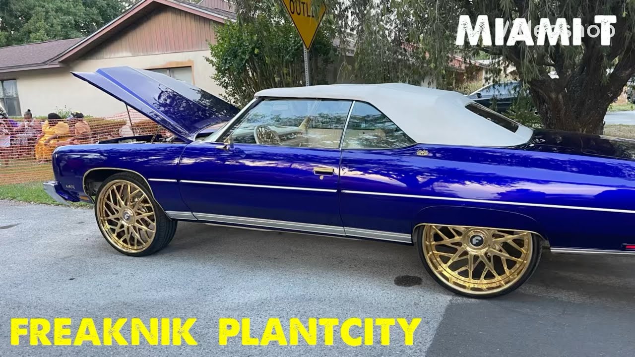 FREAKNIK  IN  PLANT CITY