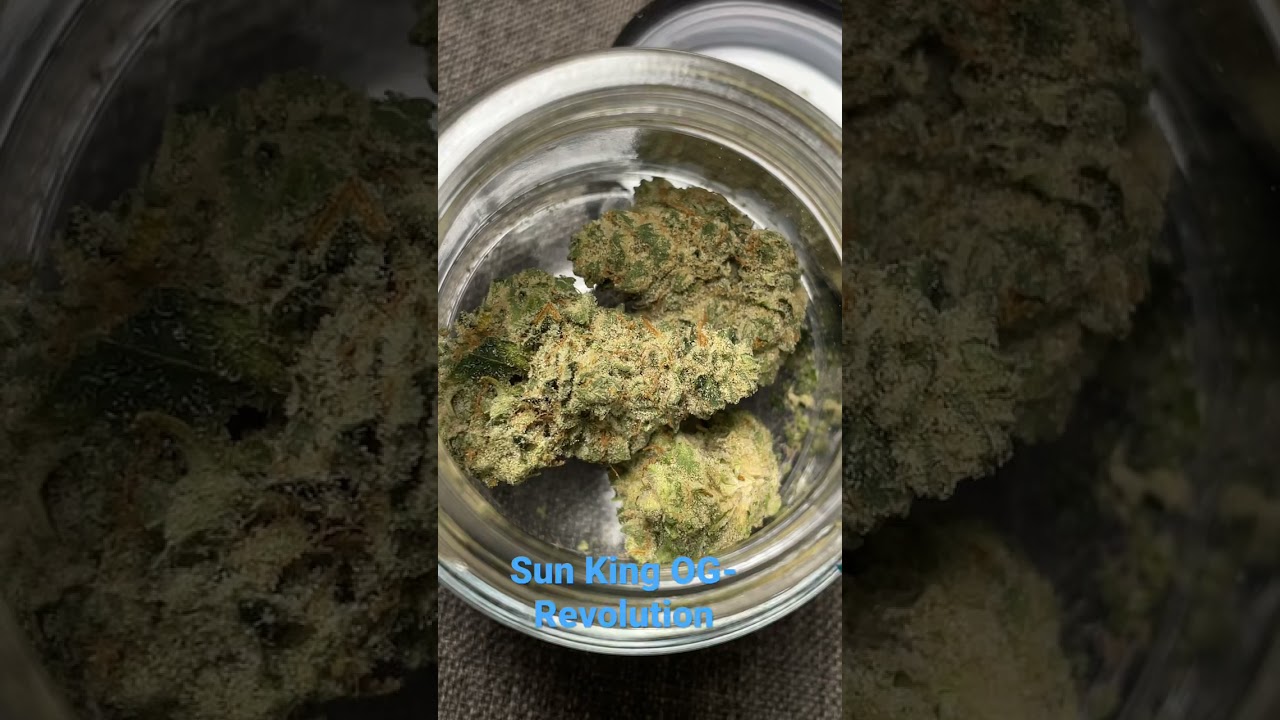Sun King OG- Revolution