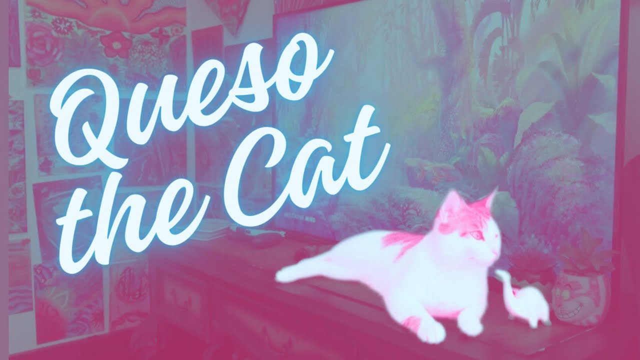 hanging out with Queso The Cat !!! featuring lofi !!!