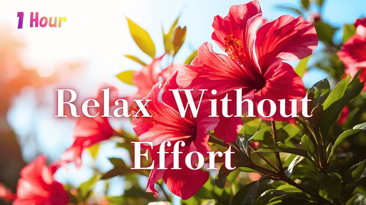 I Can Relax Here Without Effort | Tropical Escape Music｜Let Go & Unwind