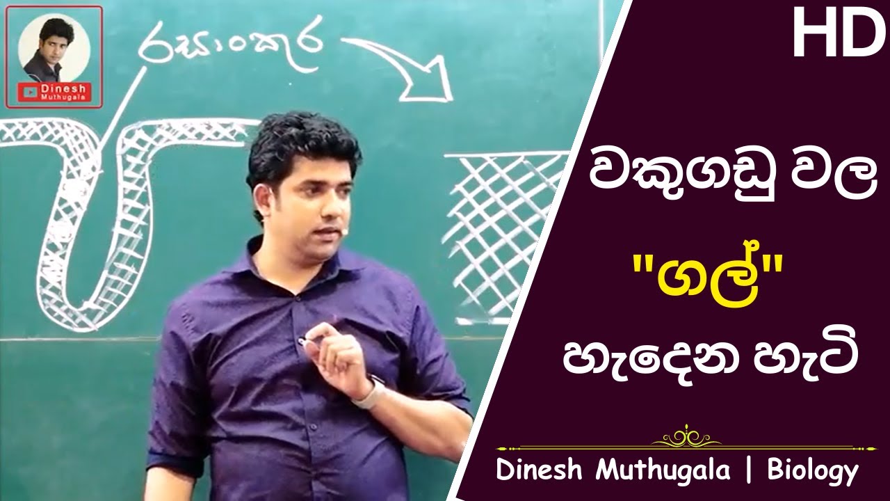 මුත්‍රාශයේ හා වකුගඩුවල ගල් ඇතිවෙන විදිහ | මුත්‍රා ගල් හැදෙන විදිහ | #dineshmuthugala | Ep6