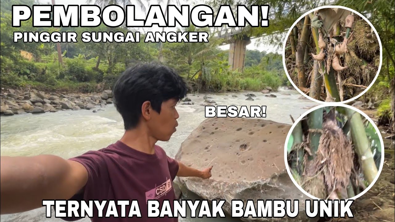 Pembolangan bambu unik dipinggir sungai angker banyak sekali beginian