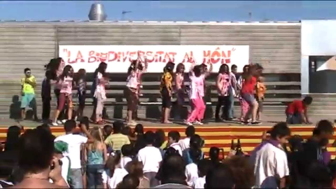Festa Intercultural Amistat - Educació Primària 2011.wmv