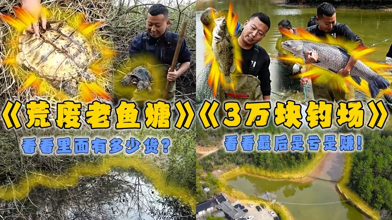 花2800元包下荒废老鱼塘，看看里面有多少货？｜花3万包下粉丝家的钓场，没想到里面的青鱼有这么大？｜开价8800元的鱼塘直接砍价到880元，看看里面能上多少货？