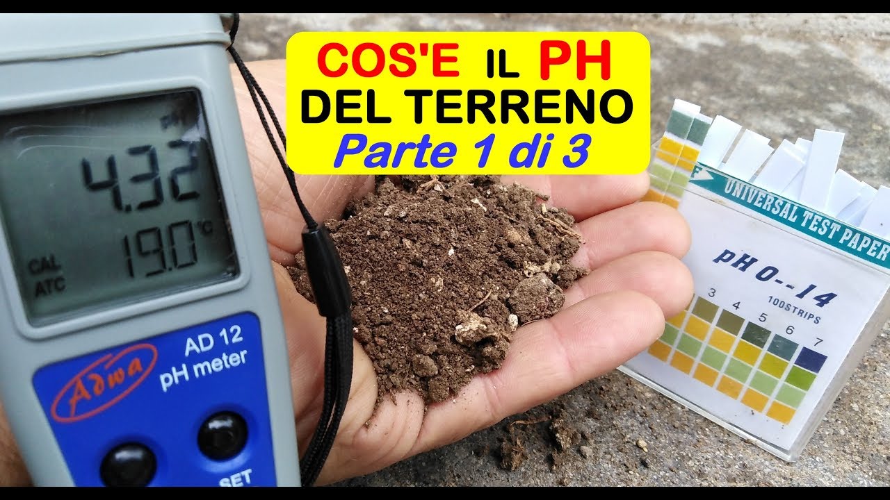 COS'E' IL PH DEL TERRENO (PARTE 1 DI 3)