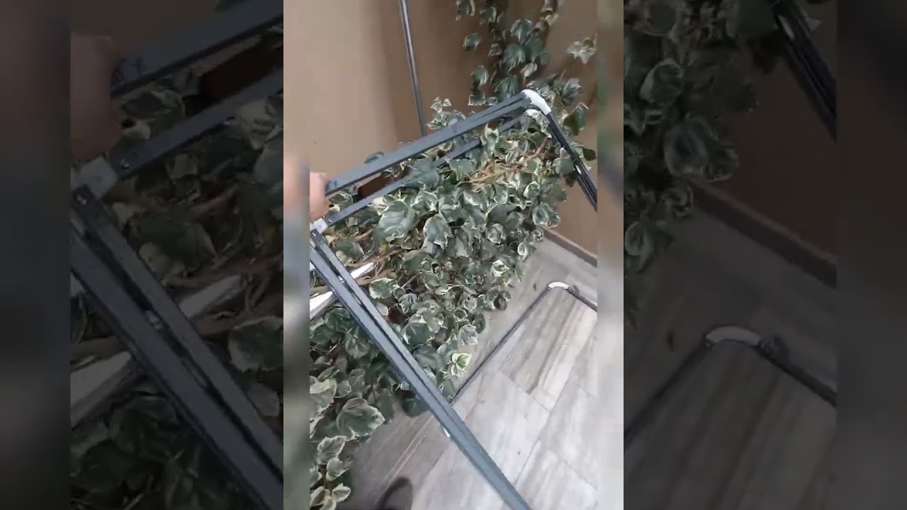 motorsiklet garajı