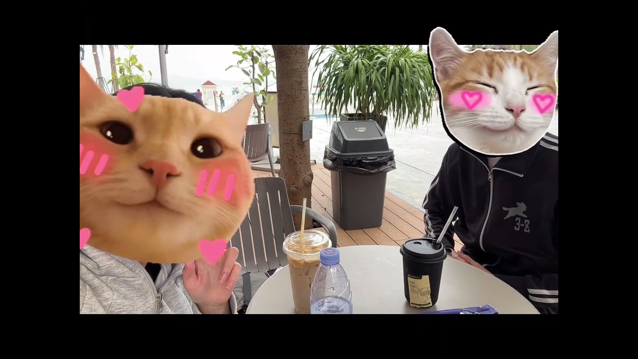 小徑灣vlog：這裡的時間，是用日落計算的