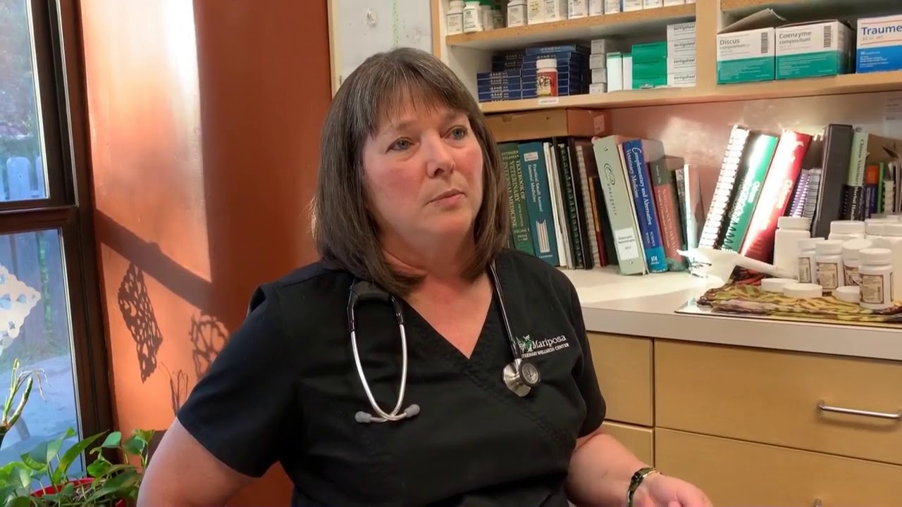 Titer Testing - A Safe Alternative to Annual Vaccinations