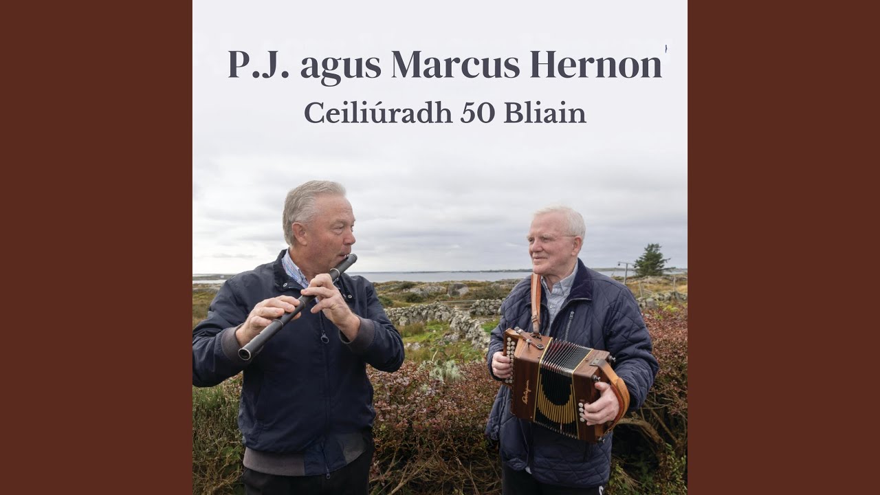 Reels: Ballintra Lass / Colonel McBaine / Johnnie Watt Henry's / The Sandmount (feat. Breandán...