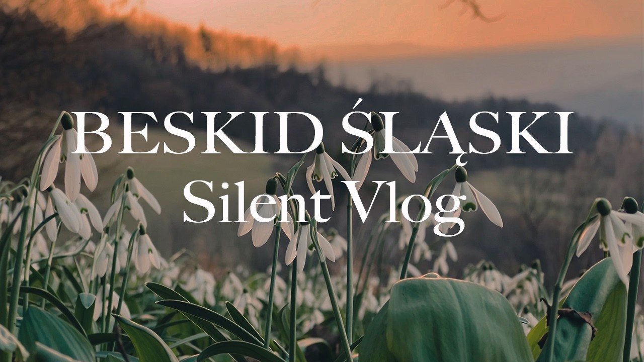 Marzec z Beskidach / Silent walk