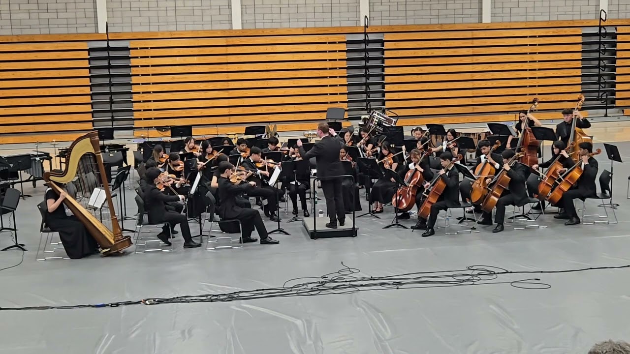 DHS Final Concert Chamber Orchestra - Suite for String Orchestra by Christopher Wilson Prelude