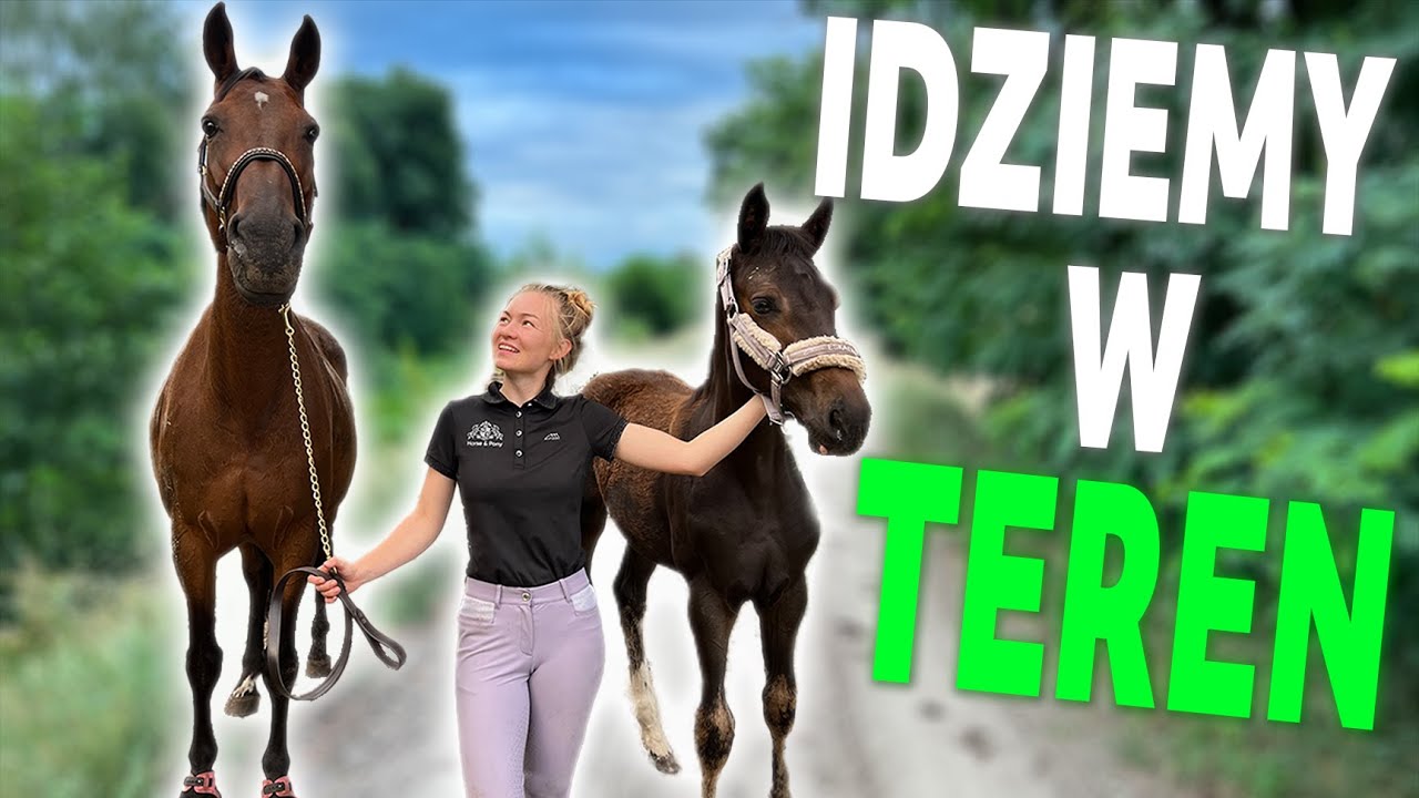 SPACER DO LASU ZE ŹREBAKIEM