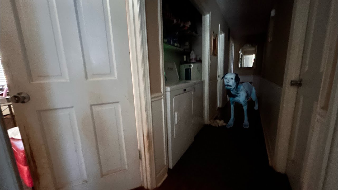 30 minutes in the hound house