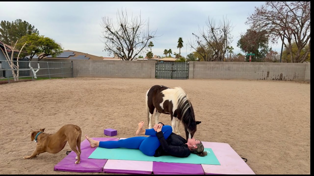 Equestrian yoga somatic flow 4