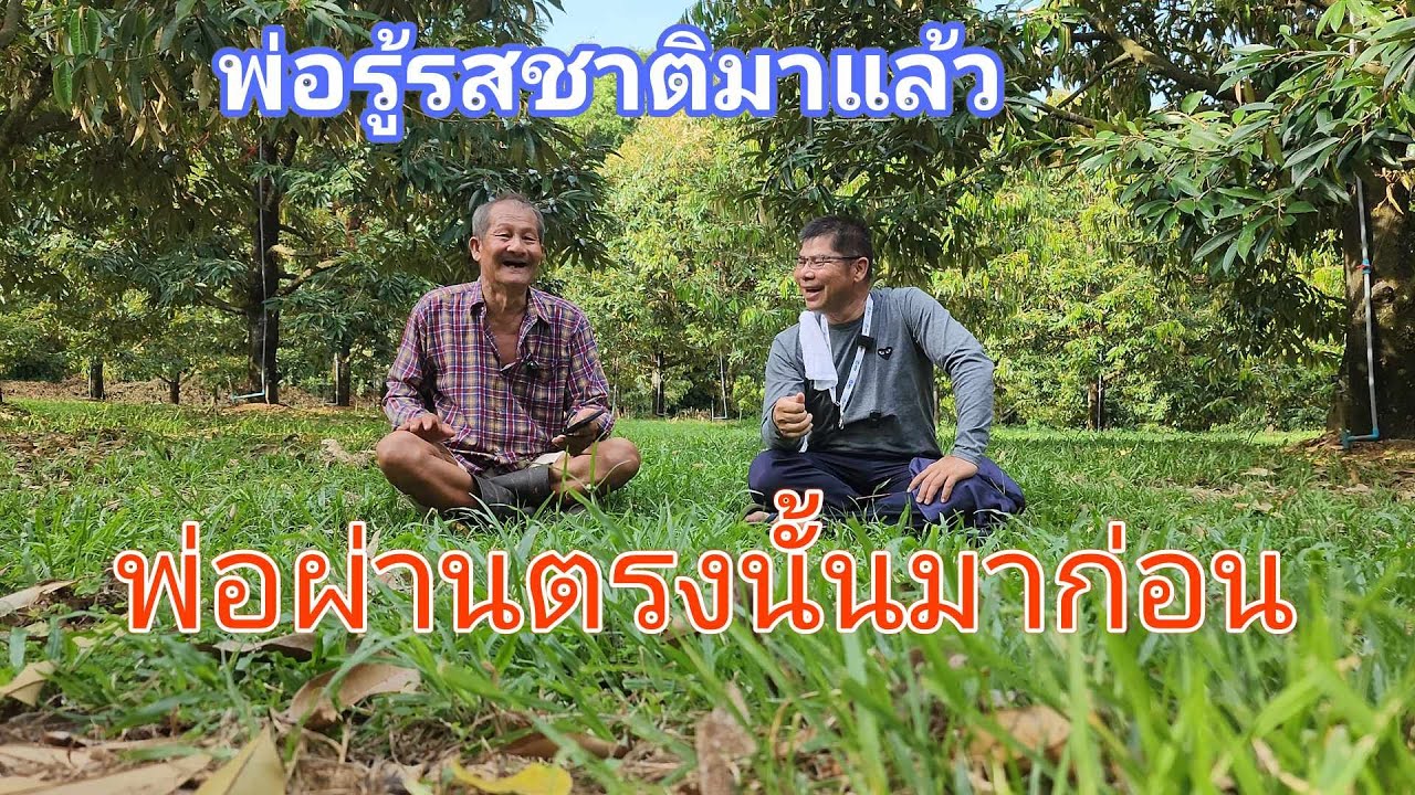 NR-EP107 ประสบการณ์ลุงนิรันดร์  ต้นสมบูรณ์มากก็เสี่ยงต่อโรค รากเน่า โคนเน่า