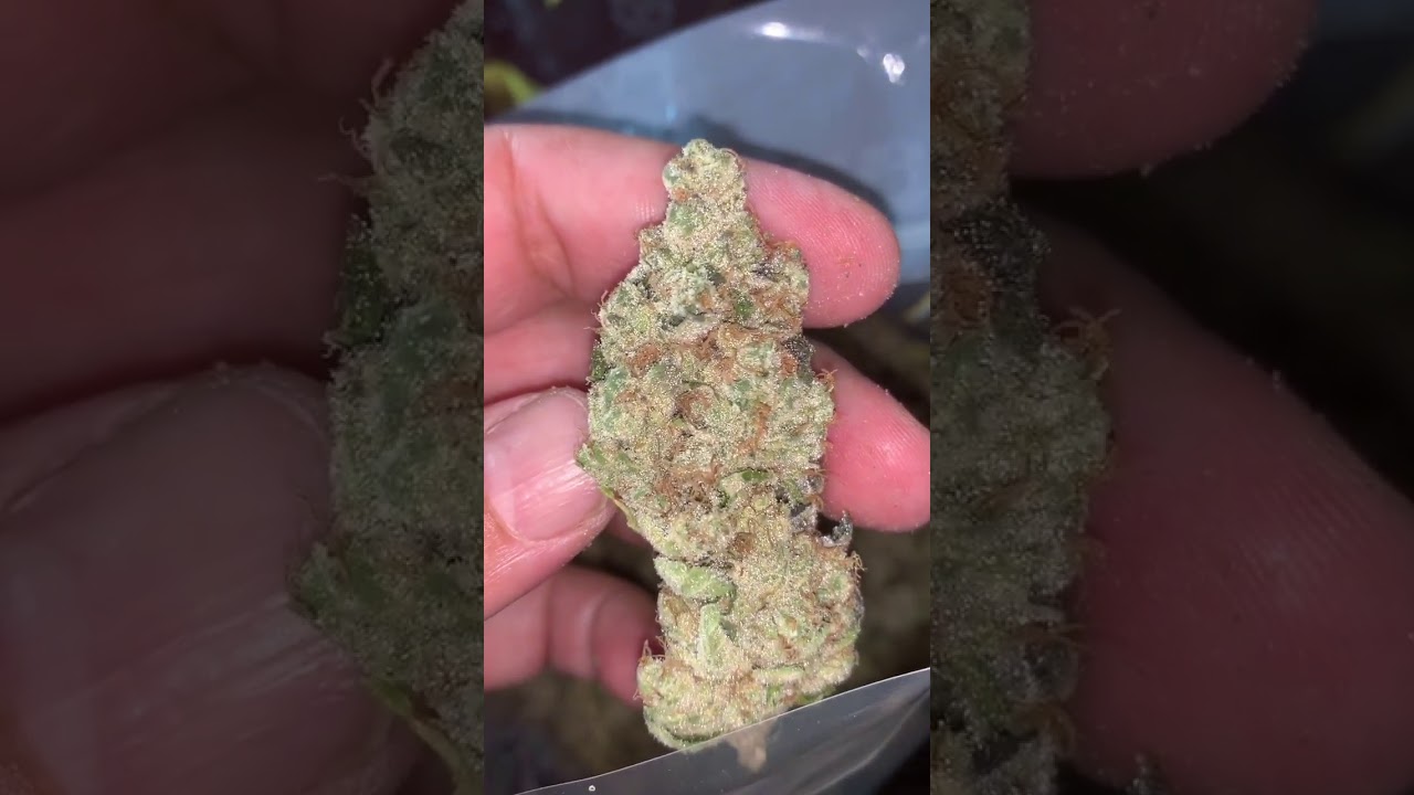 SHOUTOUT TO B-REAL WITH THE INSANE OG