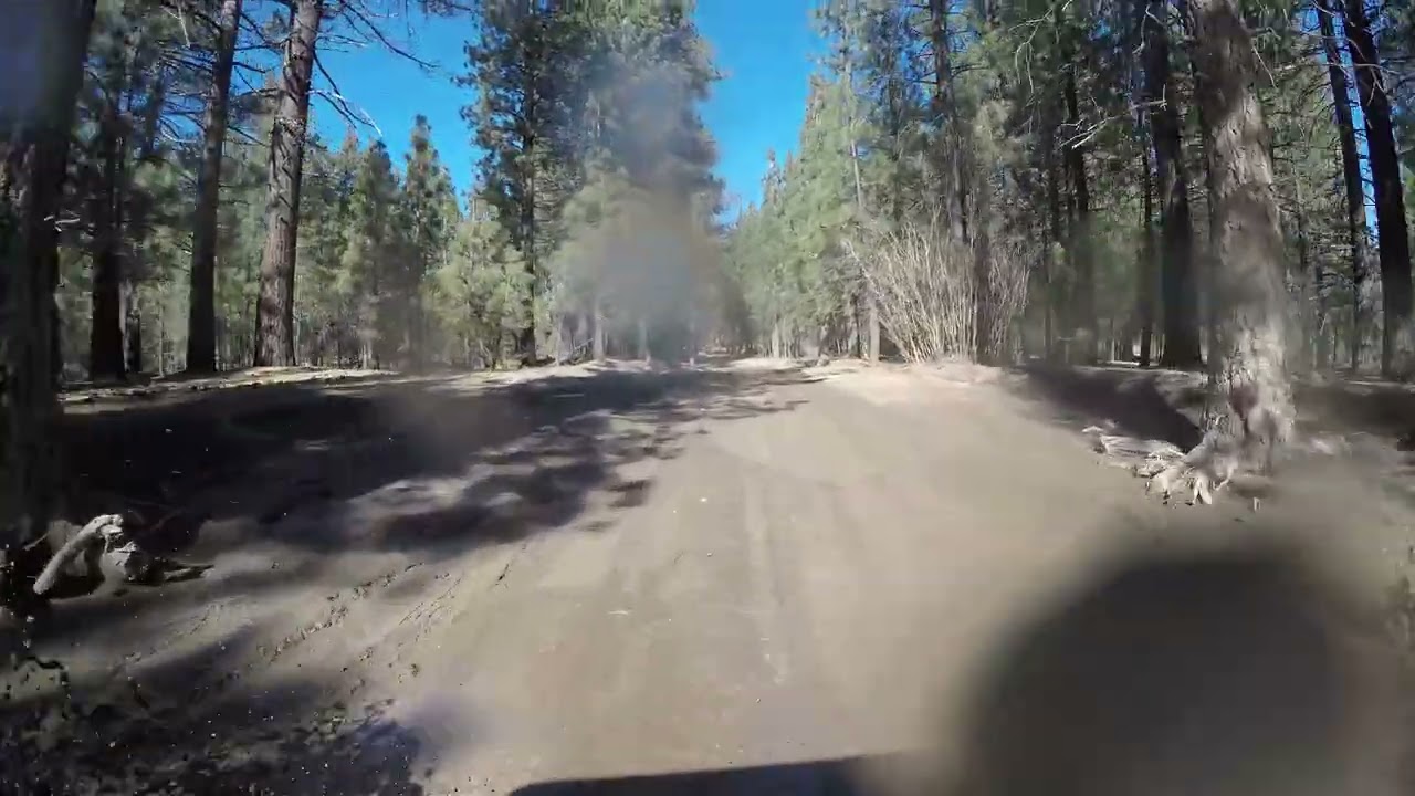 The Squeeze