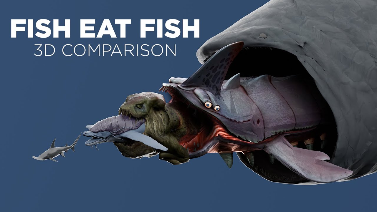 Fish eat Fish | Comparison | BLOOP vs OTHER FISHES