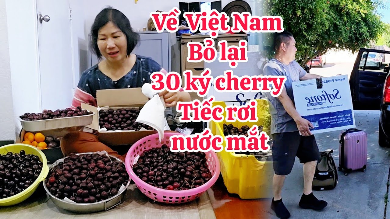Chuẩn bị lên máy bay về Việt Nam phải bỏ lại 30 ký cherry, đào tiên quá tiếc