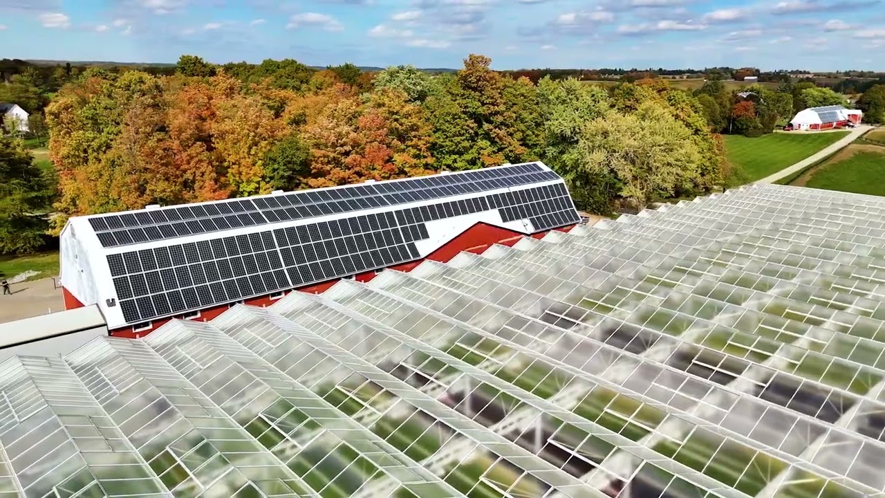 How Canada Is Growing Greens Year-Round: Inside Haven Greens