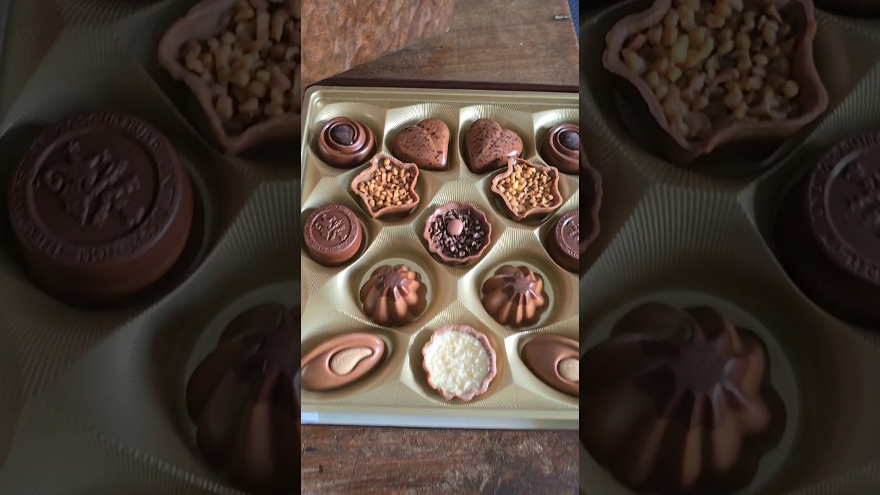 Lindt Swiss Luxury Collection  | Swiss chocolates #swisschocolate #lindtchocolate #lindt #youtube