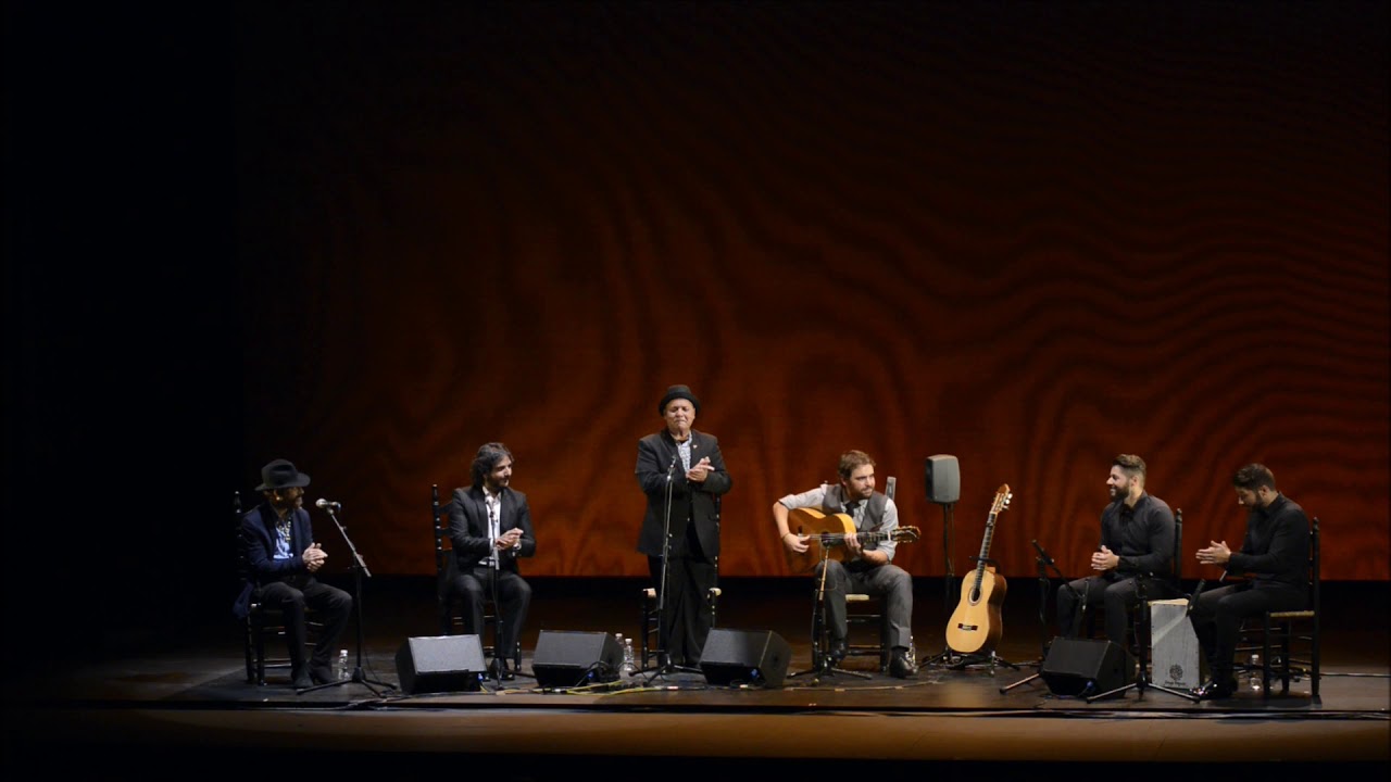 Dani de Morón, XXI Concurso Nacional de Arte Flamenco, Córdoba