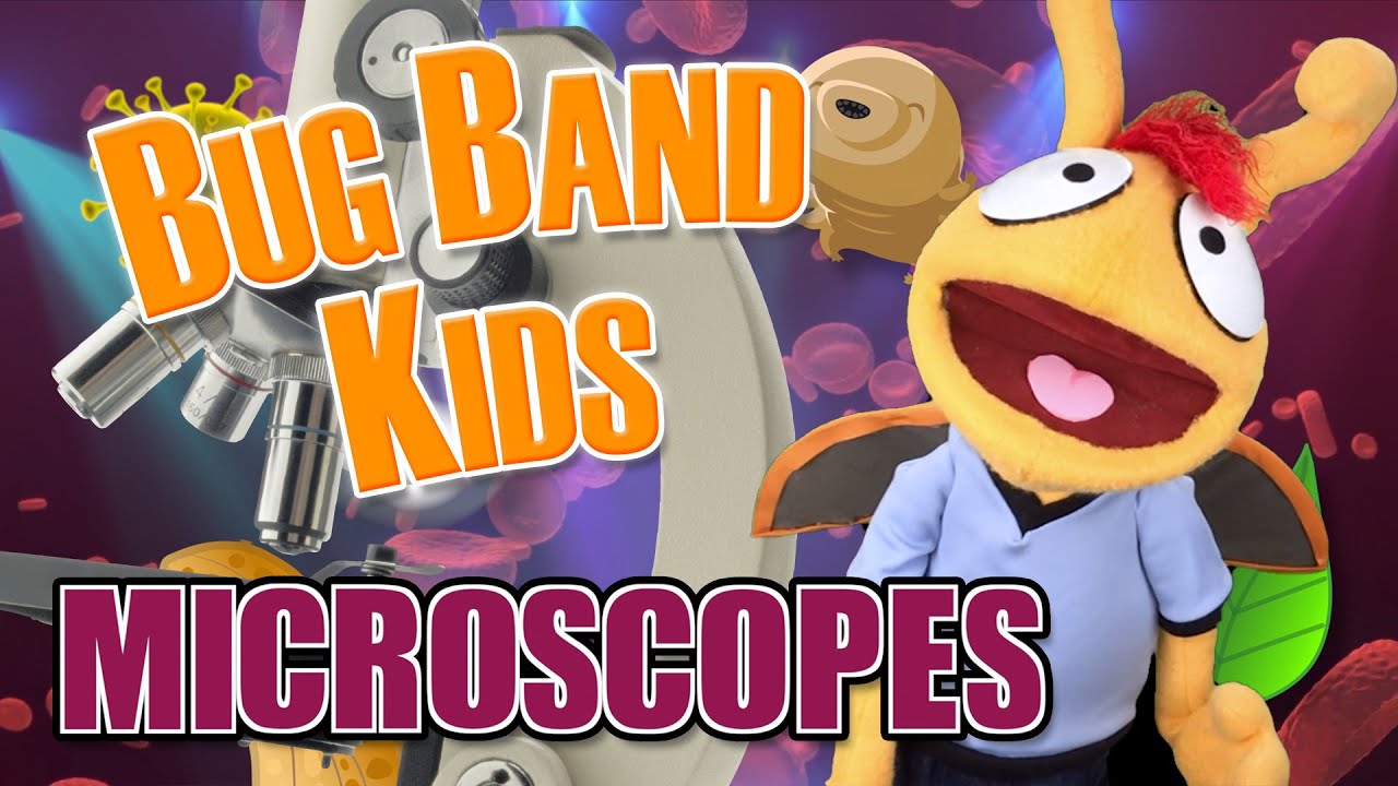 Microscopes (Panic! At The Disco &ldquo;High Hopes&rdquo; Parody) - Learning Videos for Kids - Bug Band Kids