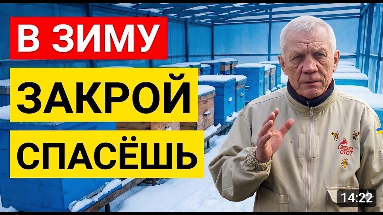 Как зимуют пчелы на улице? ЗАЧЕМ закрывать верхние летки?