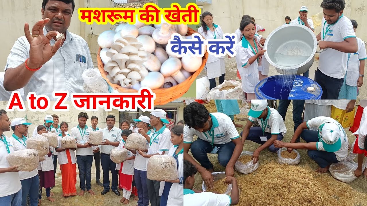 Mushroom Farming Full Process | घर पर मशरूम उगाने का तरीका || mushroom ugane ke liye compost