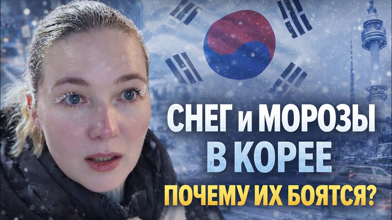 В Южной Корее снег не праздник, а тревога. Почему так? 