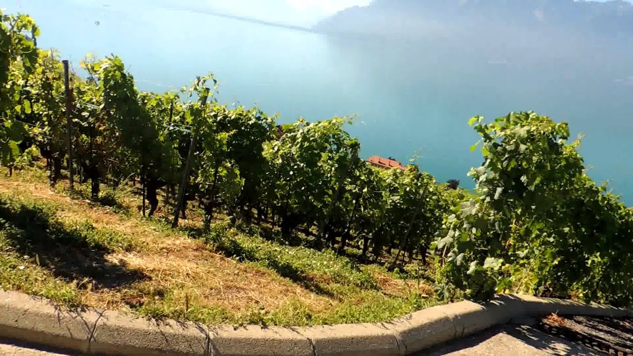 SUISSE 2013 - Chexbres village à St-Saphorin par le chemin des vignes