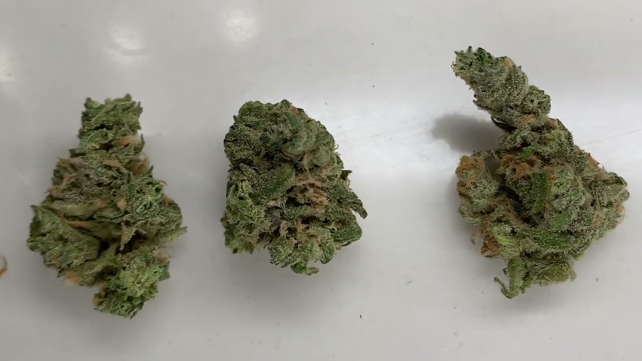 NuEra Blue Dream Flower Review