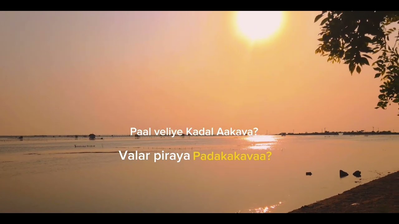 Paal veliya Kadal aakava? | Pradeep Kumar | Melody | Whatsap status | Enna naa seiven ❤️ 💙 
