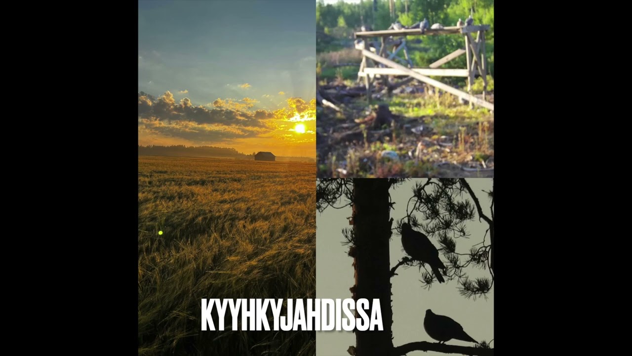 kyyhkyjahtiin kappale