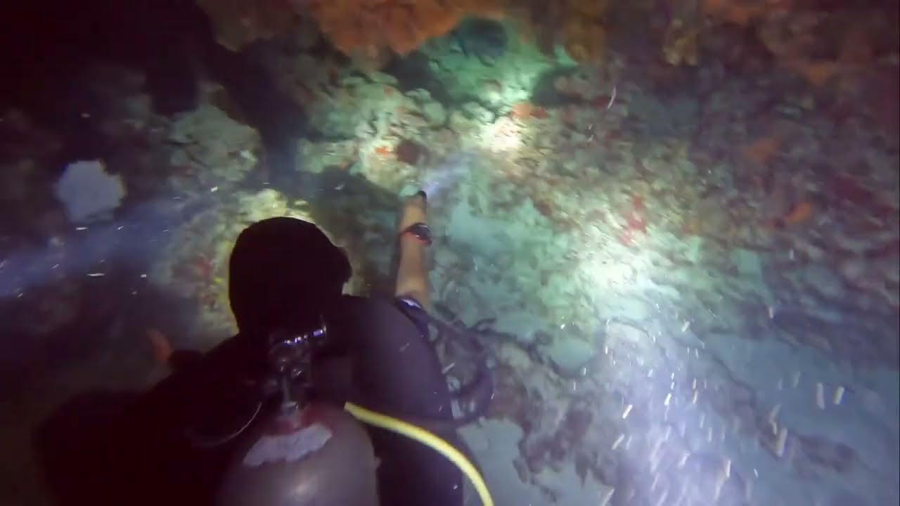 Buceo de mediodia y noche