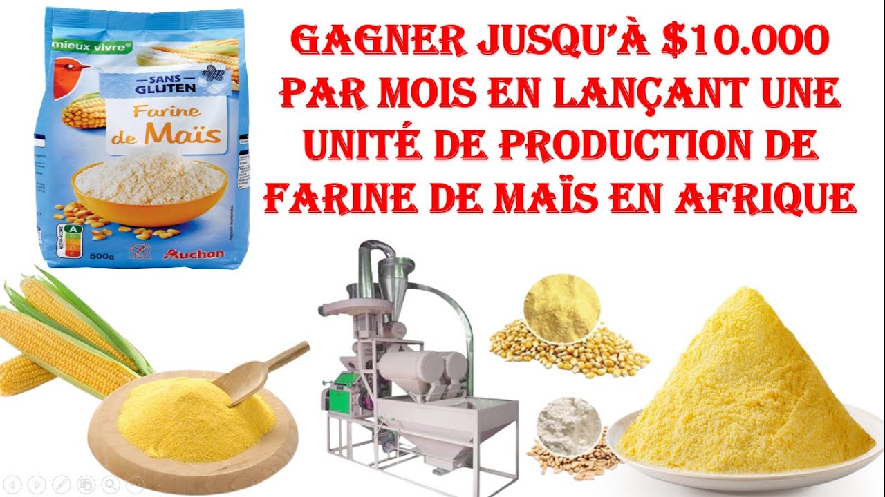 Comment lancer une unité de production de farine de maïs en Afrique