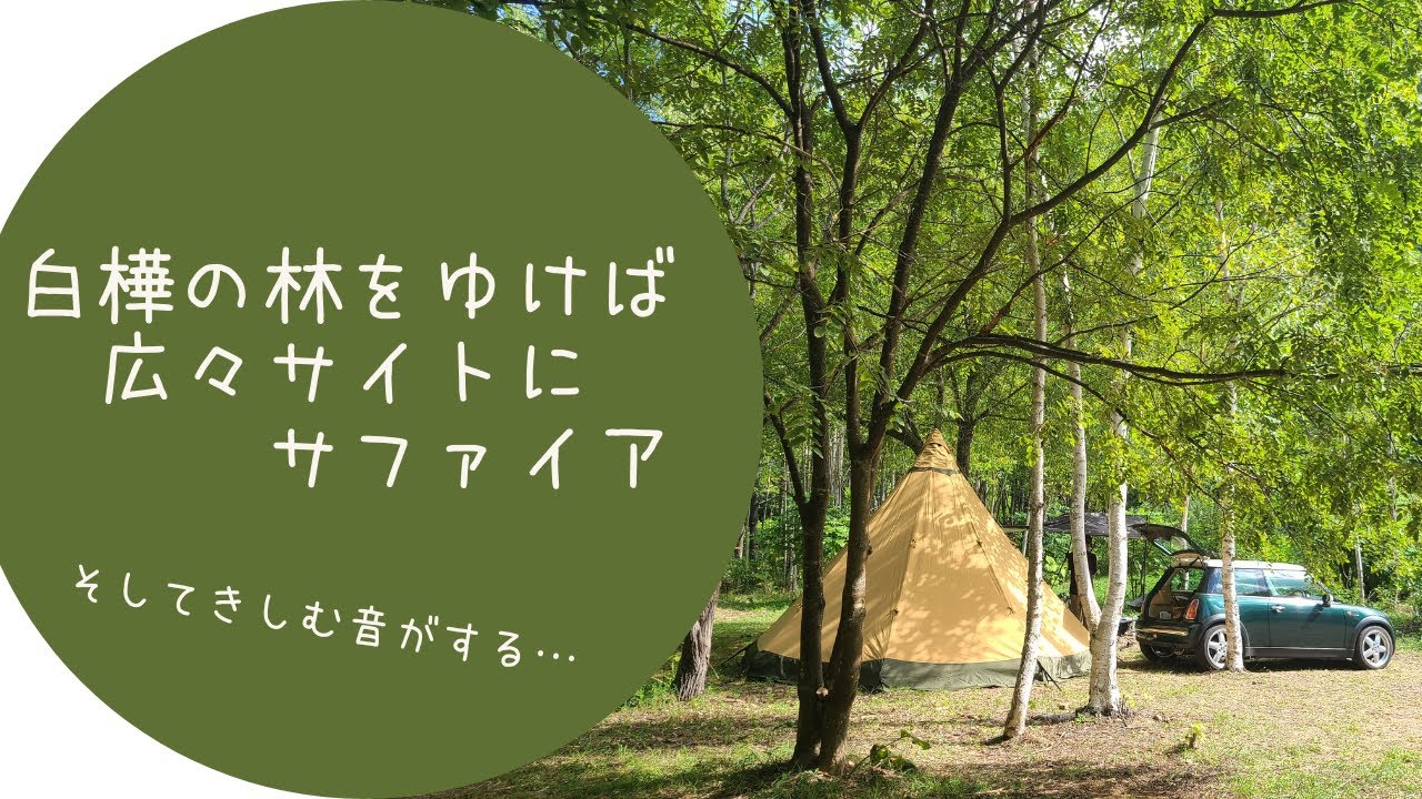 【アラ還デュオキャンプ】白樺の林をゆけば広々サイトにサファイア そしてきしむ音がする&hellip;