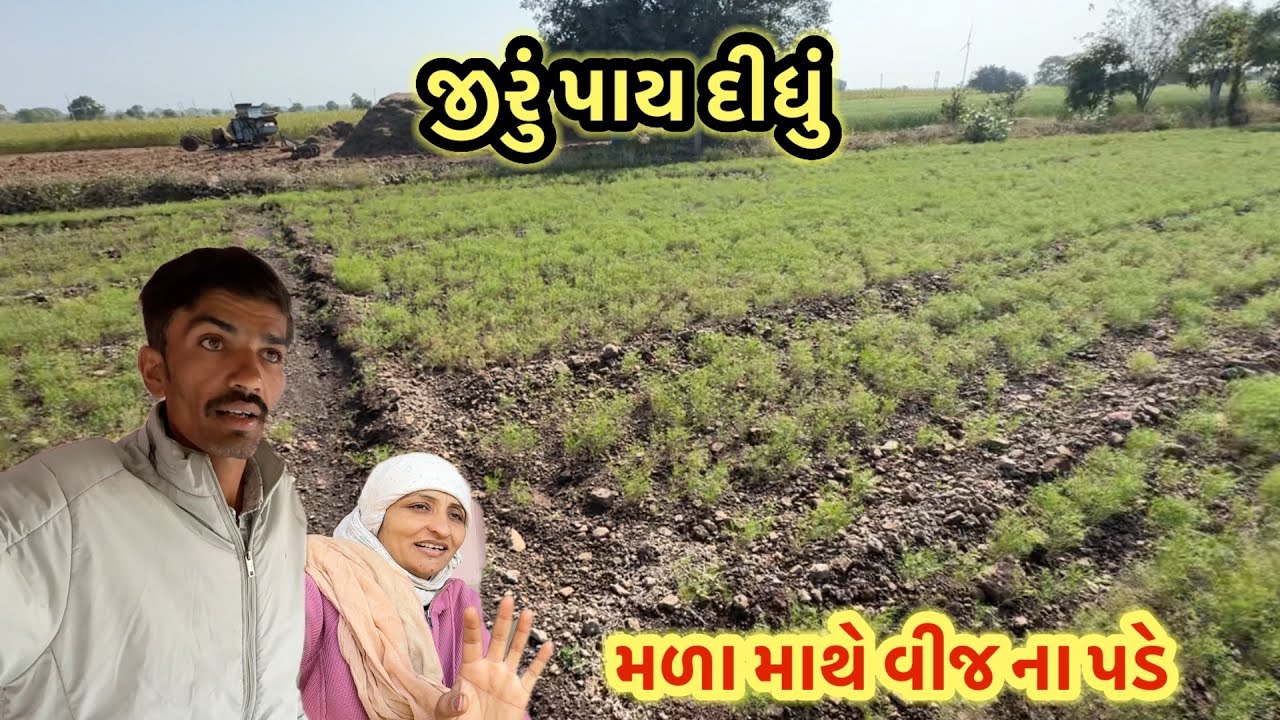 મળા માથે વીજ ના પડે || village life 