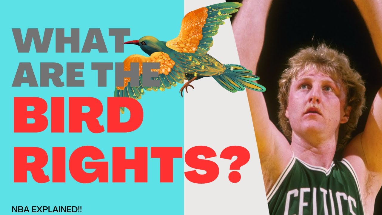 [NBA] What Really Are The Bird Rights?