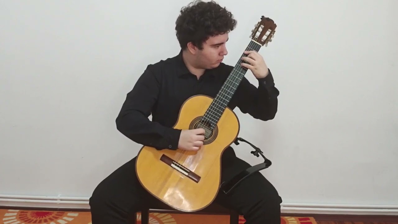 Elevul  Dragomirescu Andrei - clasa a X a de la COLEGIUL DE ARTĂ „CARMEN SYLVA” din Ploiești