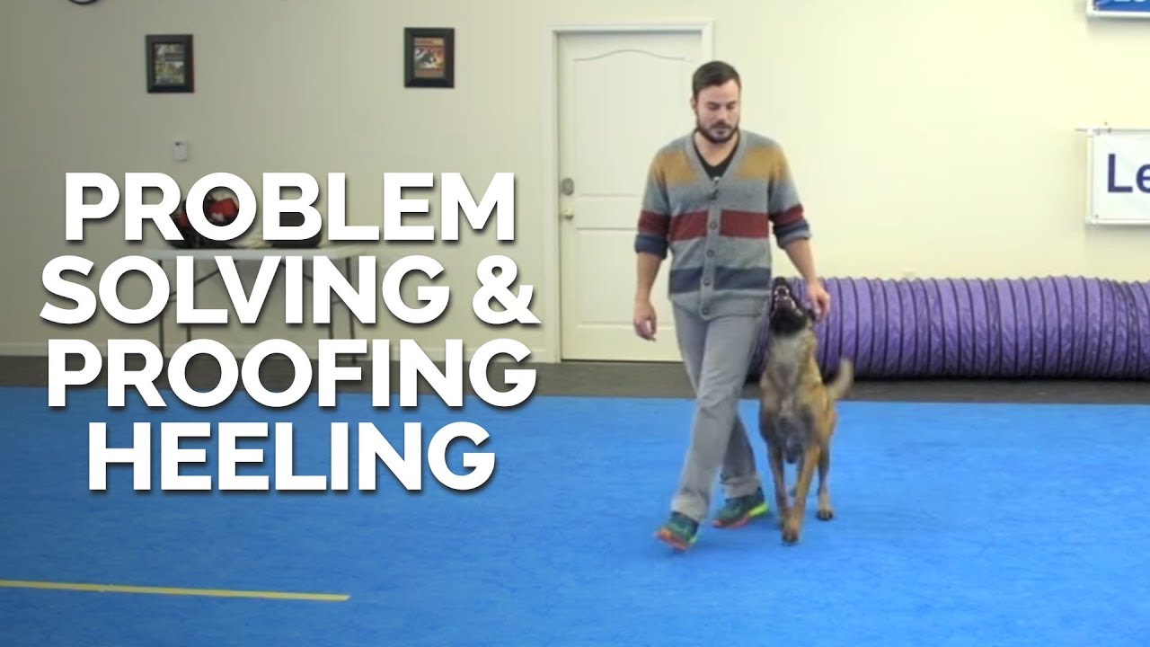 Problem Solving and Proofing Heeling