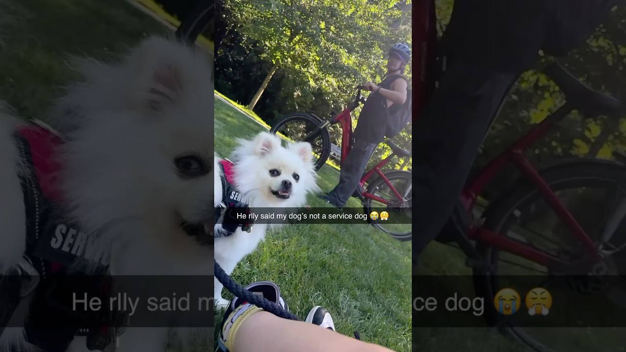 He said my dog&rsquo;s not a service dog 😭😤