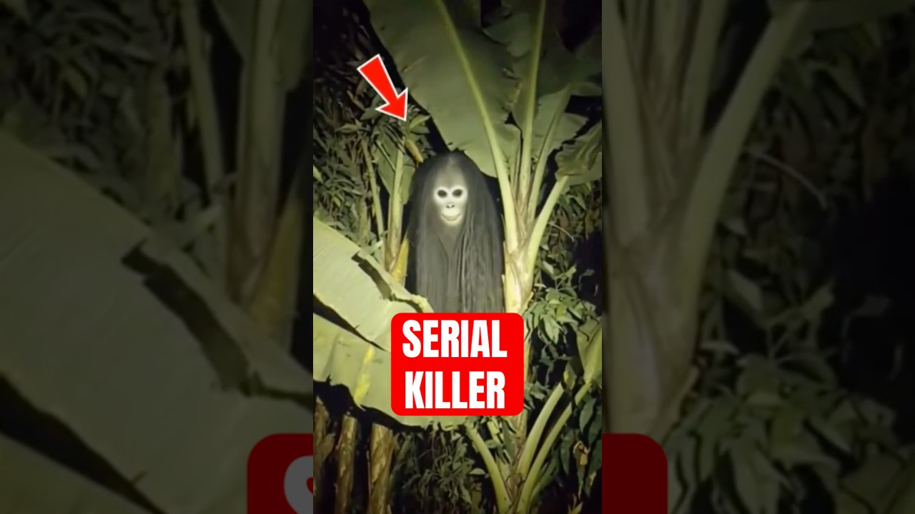 Tactical Attack Moments In Nature That Seem Unreal